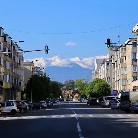 Modern Apartament Făgăraş المظهر الخارجي الصورة